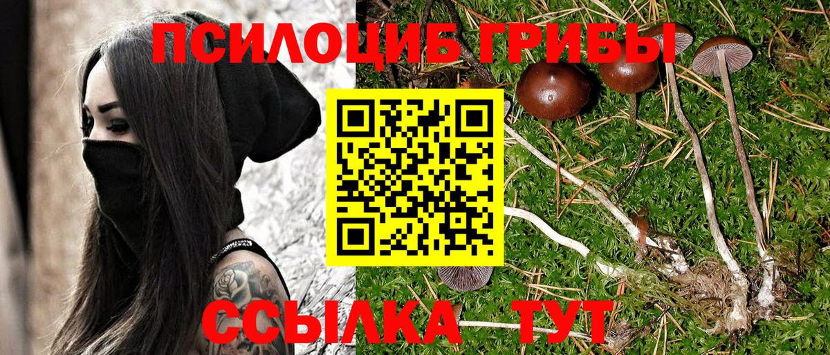 Галлюциногенные грибы GOLDEN TEACHER Керчь